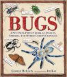 Bugs: A Stunning Pop-Up Look at Insects, Spiders, and Other Creepy-Crawlies Online Hot Sale