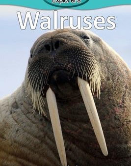 Walruses For Discount