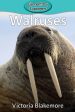 Walruses For Discount