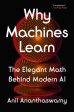 Why Machines Learn: The Elegant Math Behind Modern AI Cheap