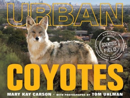 Urban Coyotes For Discount