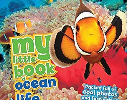 My Little Book Of Ocean Life Fashion